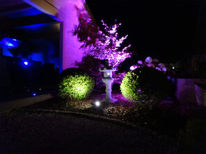 garten005.jpg